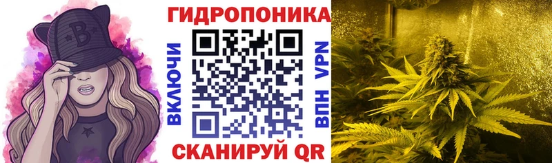 Канабис Amnesia  купить   мега   Железногорск 